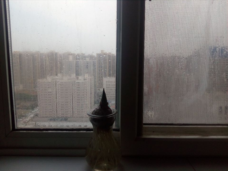 window_views_xian.jpg