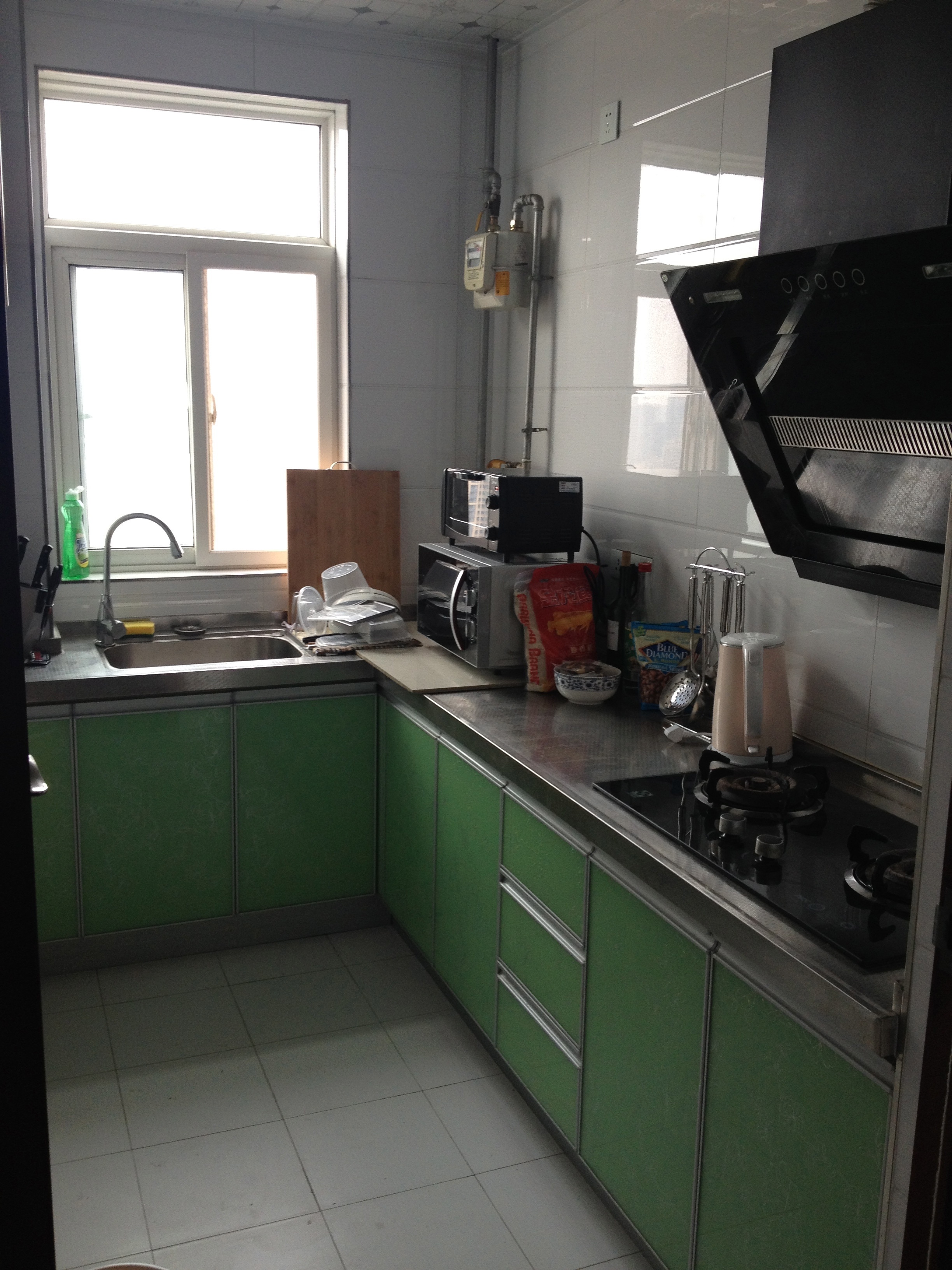 apartment_kitchen.jpg