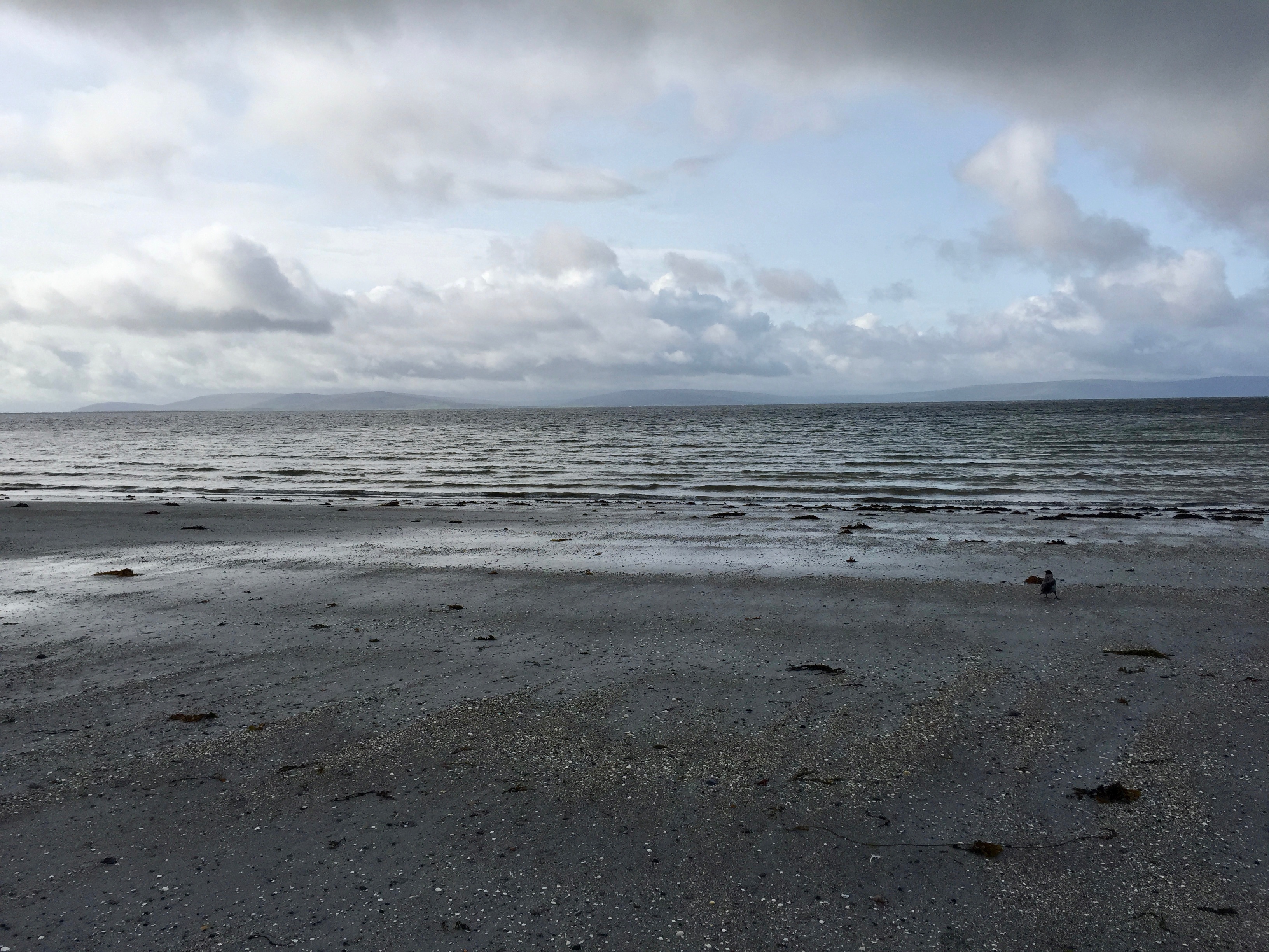 salthill_beach.jpeg